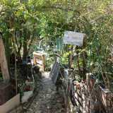 Persi in questi pensieri usciamo dal giardino percorrendo �via dell�amore�, la nostra preferita, sormontata da una cupola di rampicanti che ci avvolge come se non volesse farci andare via...